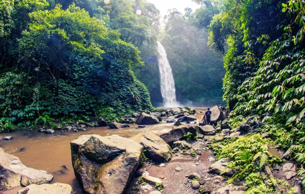 Greens, forest, the sun, trees, stream, stones, people, waterfall