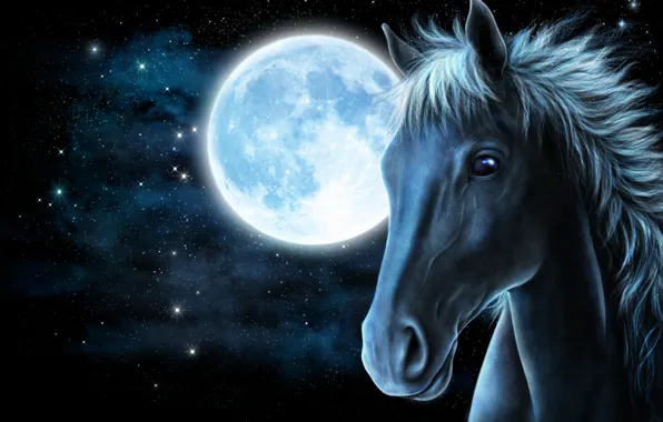 Face, stars, rendering, horse, the moon, horse