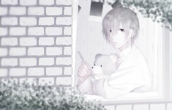 Window, guy, Teddy bear