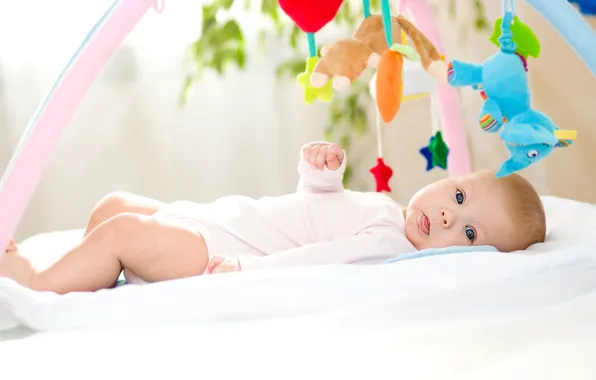 Toys, child, baby, baby, baby, kid, Glance, Toys