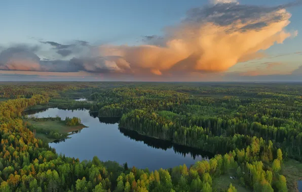 The sky, clouds, landscape, sunset, nature, forest, Vladimir Ryabkov, Gostilitskoe lake