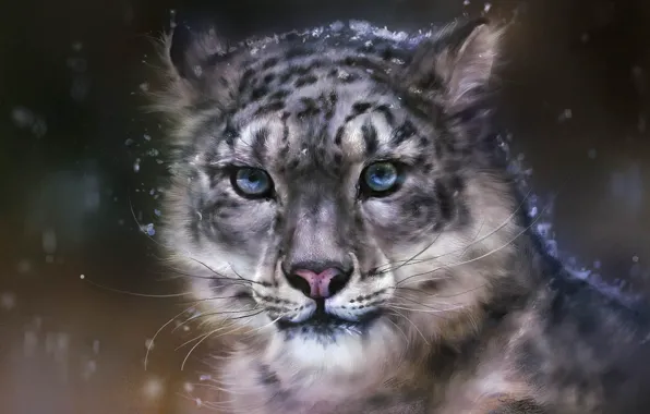 Snow, predator, art, leopard, wild cat, rong rong