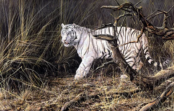 Autumn, animals, tiger, painting, white tiger, dry grass, Alan M. Hunt, deadwood