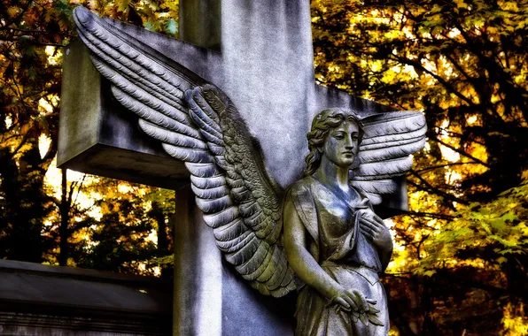 Wings, cross, angel