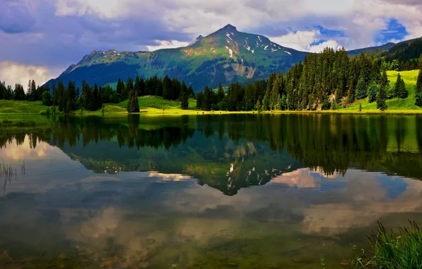 Picture greens, forest, summer, the sky, clouds, light, mountains, lake