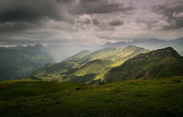 Field, forest, the sky, clouds, mountains, fog, hills, tops