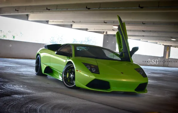 Green, Lamborghini, the door, Lambo