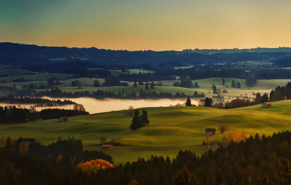Field, autumn, forest, the sky, fog, dawn, hills, shore