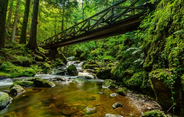 Forest, bridge, stream, stones, moss, Germany, cascade, Germany