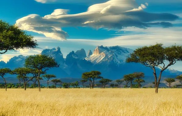 Field, the sky, clouds, trees, landscape, mountains, nature, horizon