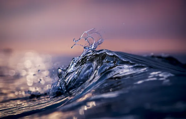 Wave, horizon, water drops, blur bokeh