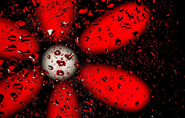 Picture drops, glare, background, color