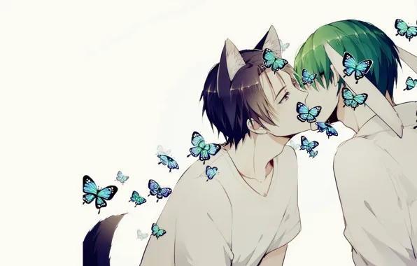 Butterfly, guys, Kuroko's Basketball, Kuroko from the Baske, Midorima Shintaro, Kazunari Takao
