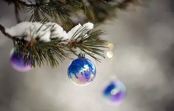 Macro, snow, blue, holiday, new year, branch, brilliant, Christmas balls