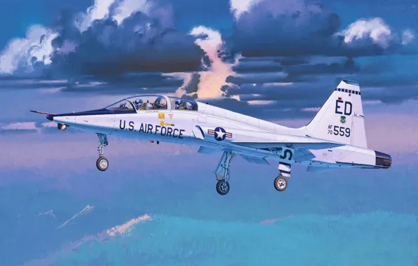 Picture art, painting, jet, T-38A Talon 'USAF'