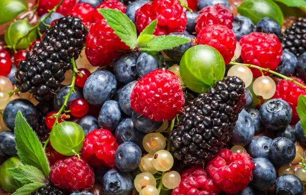 Berries, blueberries, currants, leaves, BlackBerry, Malinka