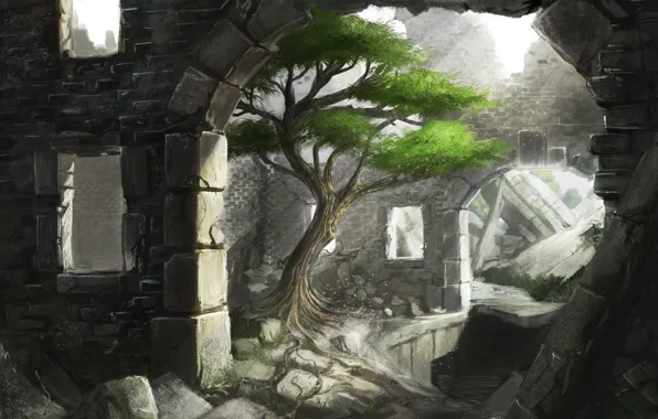 Light, stones, tree, art, arch, ruins, iidanmrak