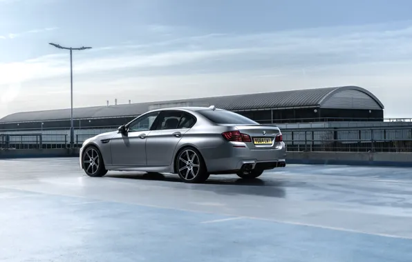 Picture BMW, F10, rear view, M5, BMW M5 30 years
