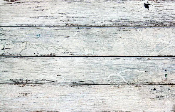 Table, tree, Board, old, texture