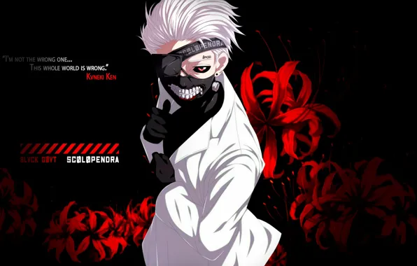 Guy, Tokyo Ghoul, Ken Kanek, Ken Kaneko, Scolopendra, Sekigan no Gūru, One - eyed Ghoul, …