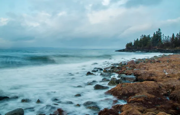 Picture sea, wave, coast