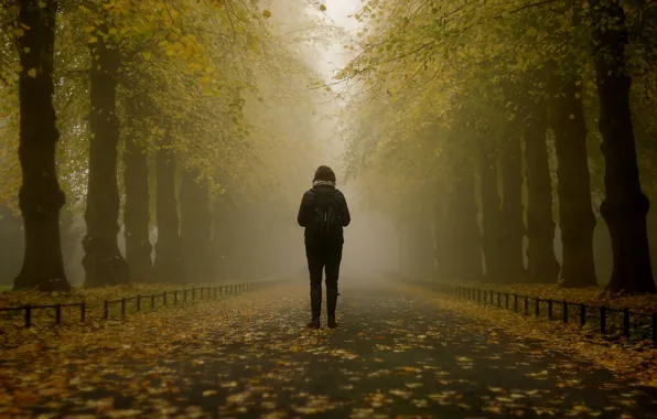 Picture girl, misty, trees, park, autumn, leaves, fog, branches