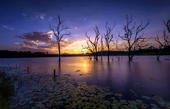 Picture the sky, nature, the evening