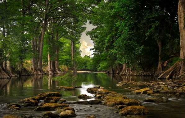 Water, Nature, Reflection, Grass, Trees, River, Leaves, Stones