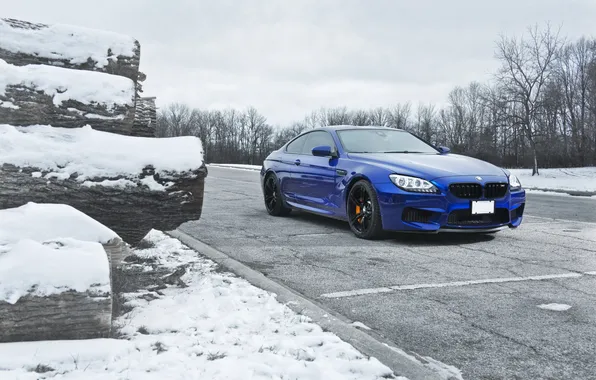 Picture winter, the sky, blue, clouds, bmw, BMW, logs, front view