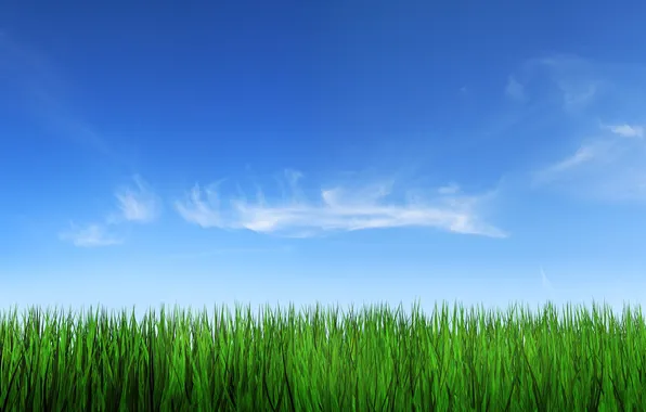Picture the sky, grass, clouds, nature, photo, background, landscapes