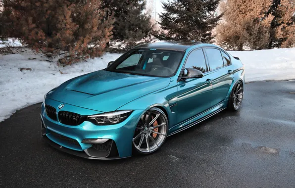 BMW, Blue, Winter, Snow, White, F80, Sight