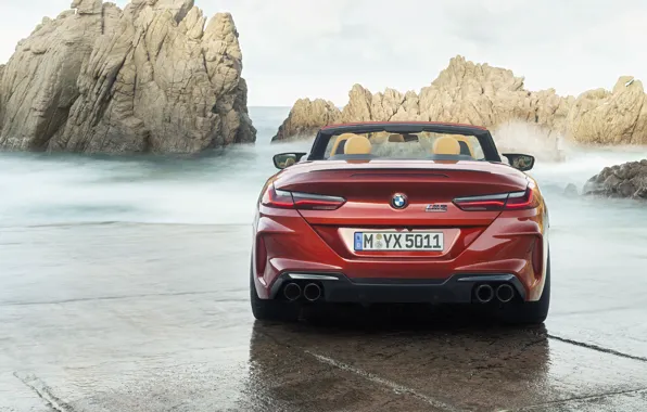 BMW, supercar, rear view, Cabrio, Competition, 2019, BMW M8, F91