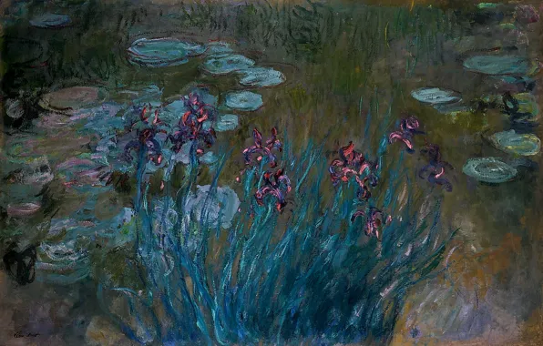 Flowers, swamp, Claude Monet, Irises and Water-Lilies