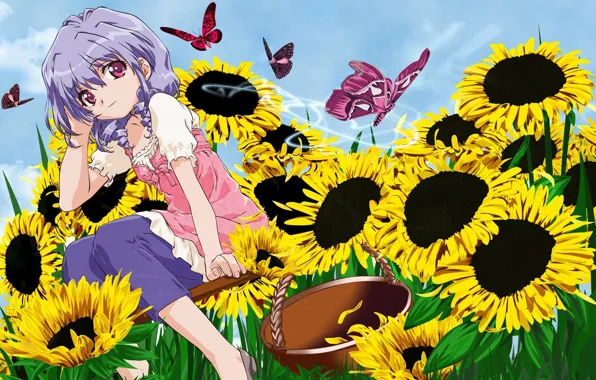 Girl, butterfly, sunflowers, mood, basket