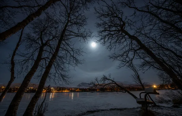 Picture winter, bench, night, lights, lake, Park, the moon, The city