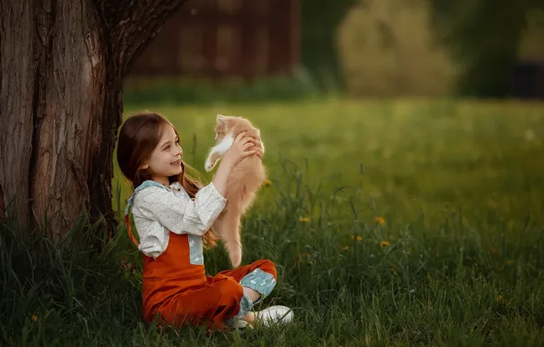 Picture grass, joy, smile, tree, mood, red, girl, kitty
