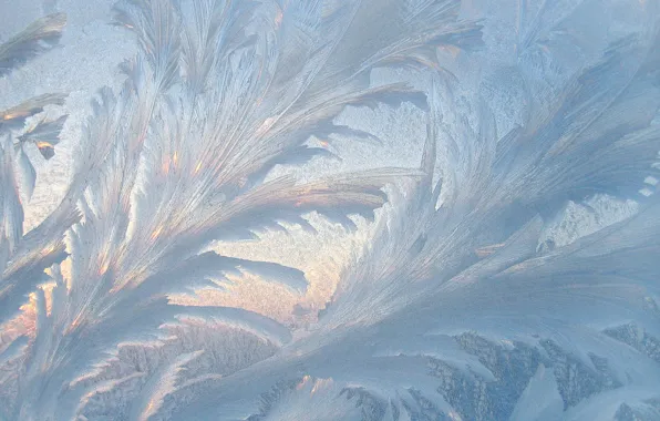 Cold, winter, frost, glass, light, snow, pattern, ice