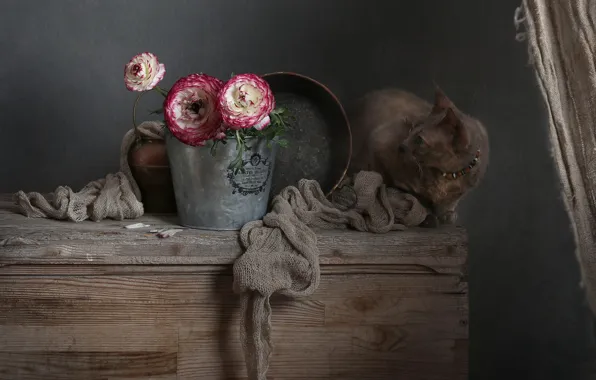 Cat, cat, flowers, grey, Board, bouquet, bucket, dishes