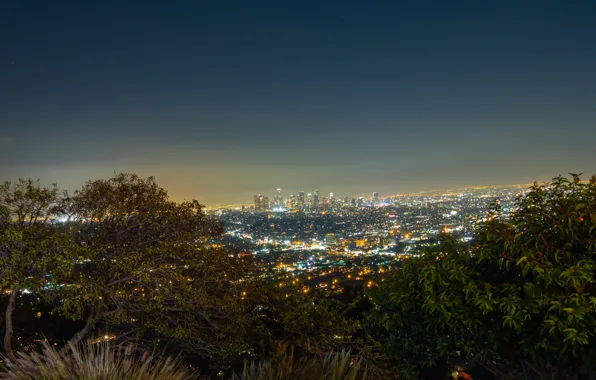 Sky, Night, Los Angeles, Skyline, View, Trees