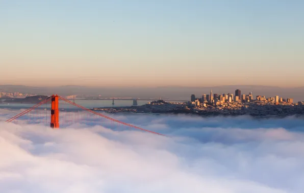 Picture bridge, the city, fog, morning, CA, USA, California, San Francisco
