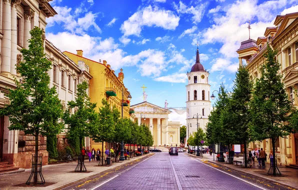 Picture white, tower, tree, traffic, town, urban, travel, vilnius