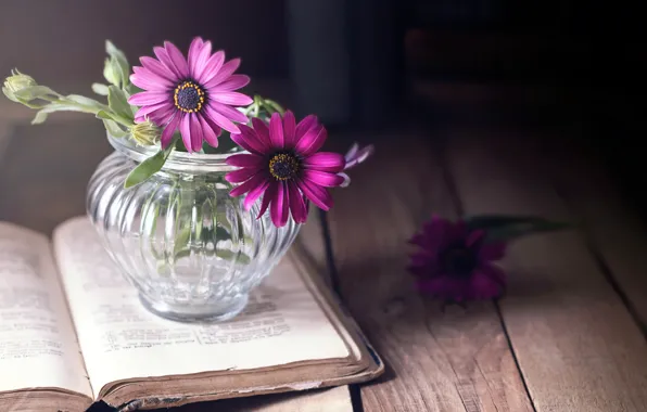 Flowers, background, book