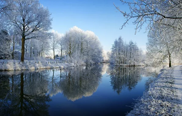 Winter, frost, snow, trees, river