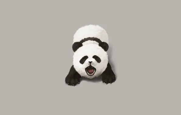 Minimalism, Panda, Bear, Grey, Small, Background, Creek, Art