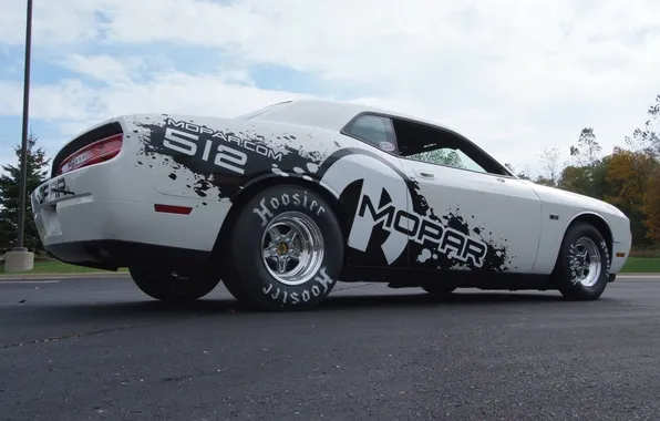 White, dodge challenger, mopar