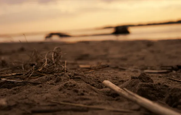 Sand, sunset, branches, shore, firewood