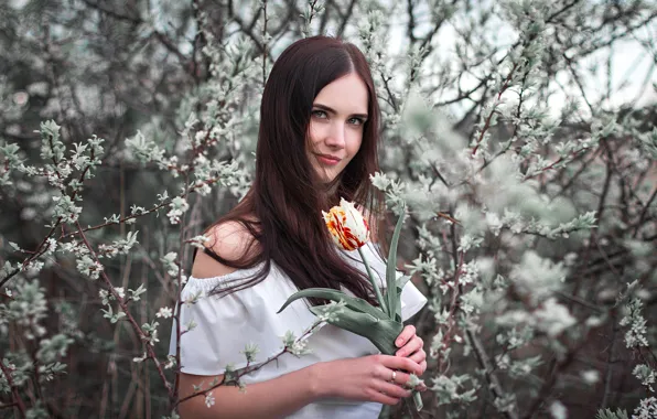 Picture flower, look, Girl, Ivan Shcheglov