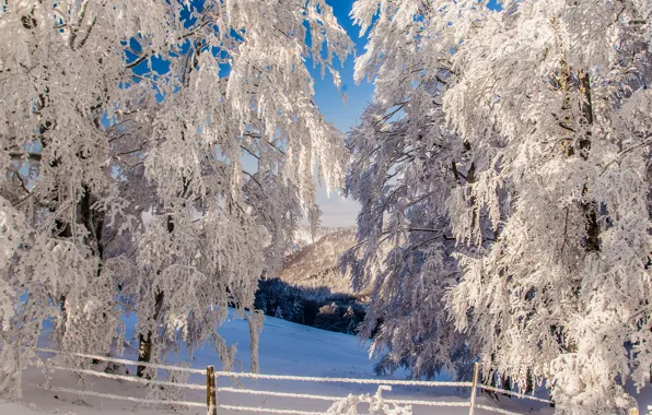 Winter, snow, trees, mountains, the fence, slope