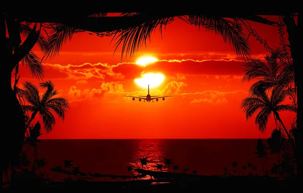 Picture sea, the sky, the sun, clouds, sunset, the plane, window, liner