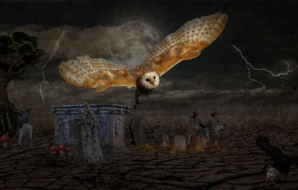 The storm, flight, birds, night, rendering, rain, tree, owl